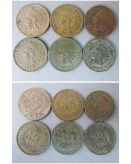 (6) 1903 Indian Head Cents