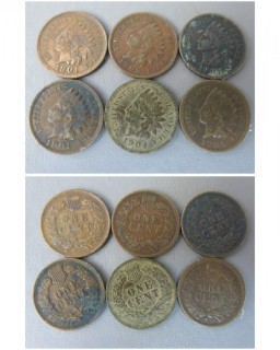 (4) 1901 and (2) 1905 Indian Head Cents