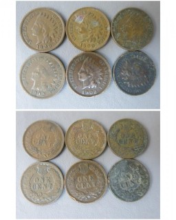 (3) 1900 and (3) 1902 Indian Head Cents