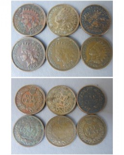 (6) 1906 Indian Head Cents