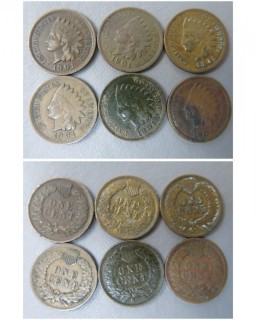 (6) 1901 Indian Head Cents