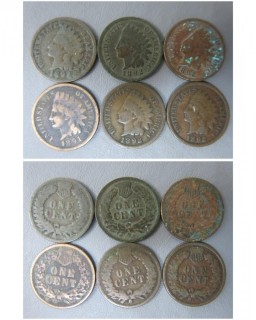 (1) 1891 and (5) 1892 Indian Head Cents