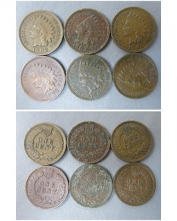 (6) 1902 Indian Head Cents