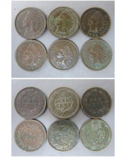 (6) 1905 Indian Head Cents