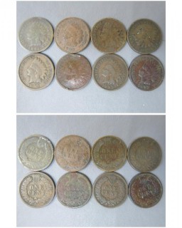 (1) 1880, (1) 1882, (1) 1884, (1) 1886 and (4) 1893 Indian Head Cents