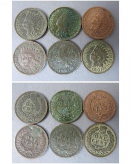 (12) 1901 Indian Head Cents