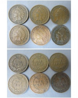 (6) 1906 Indian Head Cents