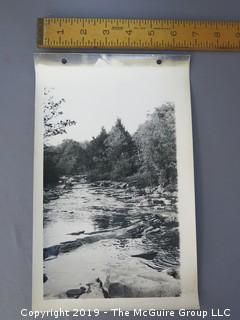 53 Naturalist Black and White Photos by Fred C. Fair