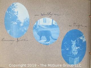 Family Photo Album; Mostly Cyanotypes; Described