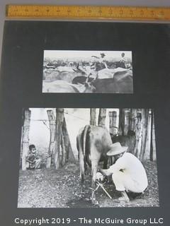 Large Format Photo; B&W; Untitled