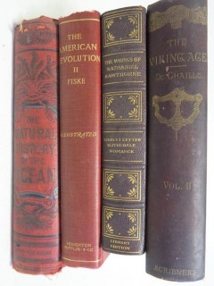 Collection of books including "The Viking Age"; by du Chaillu; published by Scribners 