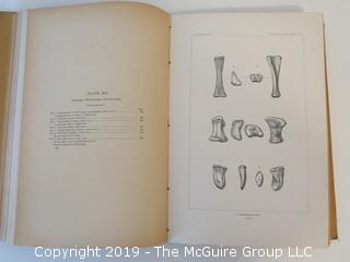 Book Title: The Dinosaurs of North America" by Othniel Charles Marsh; published by the U.S. Geological Society; 16th Annual Report; 1896