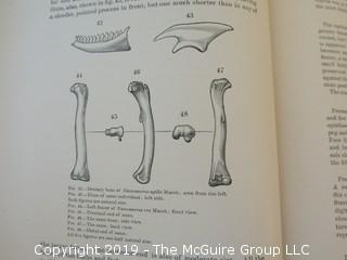 Book Title: The Dinosaurs of North America" by Othniel Charles Marsh; published by the U.S. Geological Society; 16th Annual Report; 1896