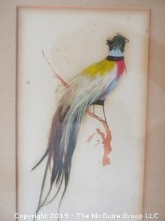 Framed perching bird; original work of art under glass