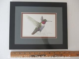 Framed Ruby Throated Hummingbird; signed and numbered colored print; under glass; 9 1/2 x 11 1/2"