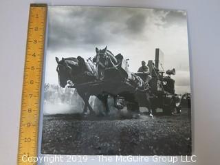 Large Format B + W Photo; Horse Pulling Contest