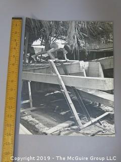 Large Format B + W photos of Woodsmen Competition; Arthur Rickerby