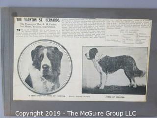 Early dog scrapbook mostly St. Bernards