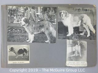 Early dog scrapbook mostly St. Bernards