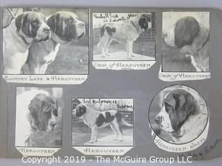 Early dog scrapbook mostly St. Bernards