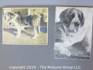 Early dog scrapbook mostly St. Bernards