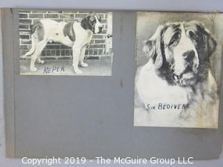 Early dog scrapbook mostly St. Bernards