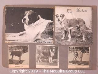 Early dog scrapbook mostly St. Bernards