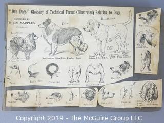 Early dog scrapbook mostly St. Bernards