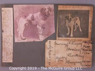 Early dog scrapbook mostly St. Bernards