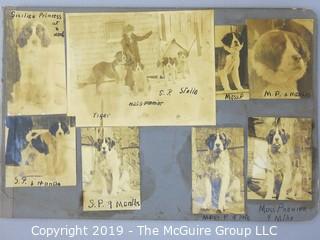 Early dog scrapbook mostly St. Bernards