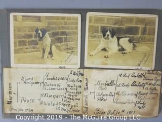 Early dog scrapbook mostly St. Bernards