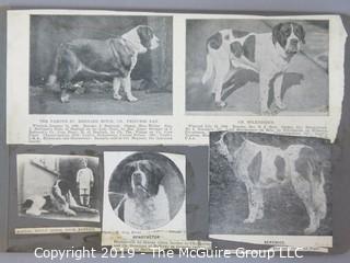 Early dog scrapbook mostly St. Bernards