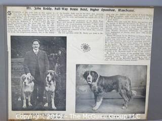 Early dog scrapbook mostly St. Bernards