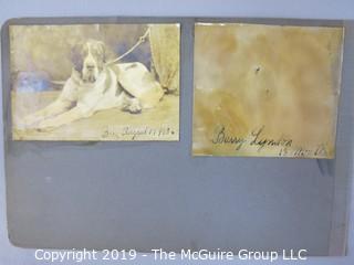 Early dog scrapbook mostly St. Bernards