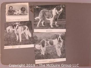 Early dog scrapbook mostly St. Bernards