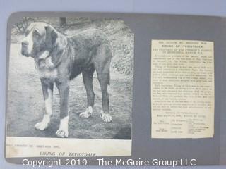 Early dog scrapbook mostly St. Bernards