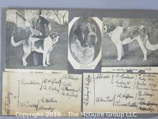 Early dog scrapbook mostly St. Bernards