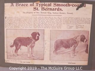 Early dog scrapbook mostly St. Bernards