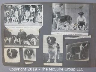 Early dog scrapbook mostly St. Bernards