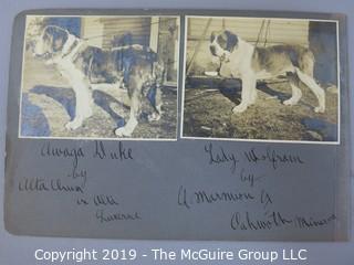 Early dog scrapbook mostly St. Bernards