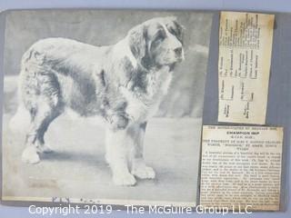 Early dog scrapbook mostly St. Bernards