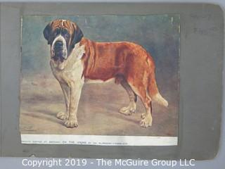 Early dog scrapbook mostly St. Bernards