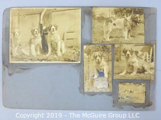 Early dog scrapbook mostly St. Bernards