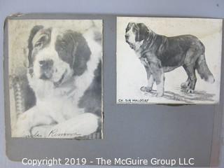 Early dog scrapbook mostly St. Bernards