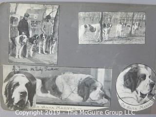 Early dog scrapbook mostly St. Bernards