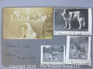 Early dog scrapbook mostly St. Bernards