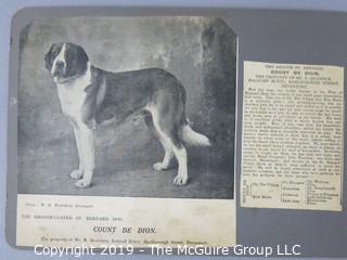 Early dog scrapbook mostly St. Bernards