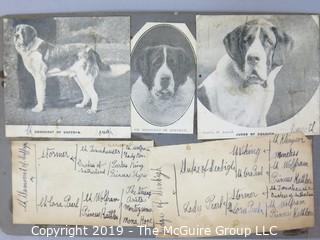 Early dog scrapbook mostly St. Bernards