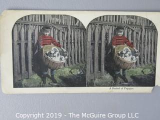 Collection of Stereoscope Cards some color tinted