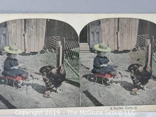 Collection of Stereoscope Cards some color tinted